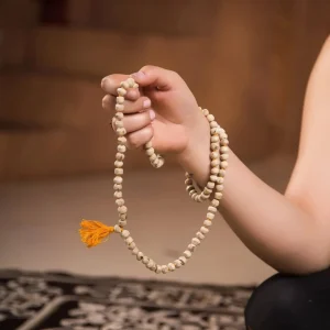 meditación